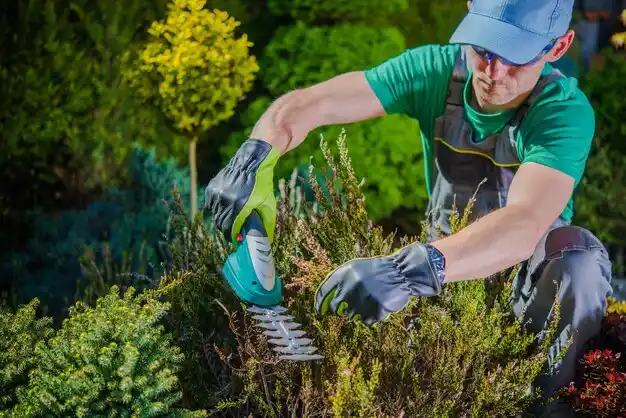 landscaping services Norton Center